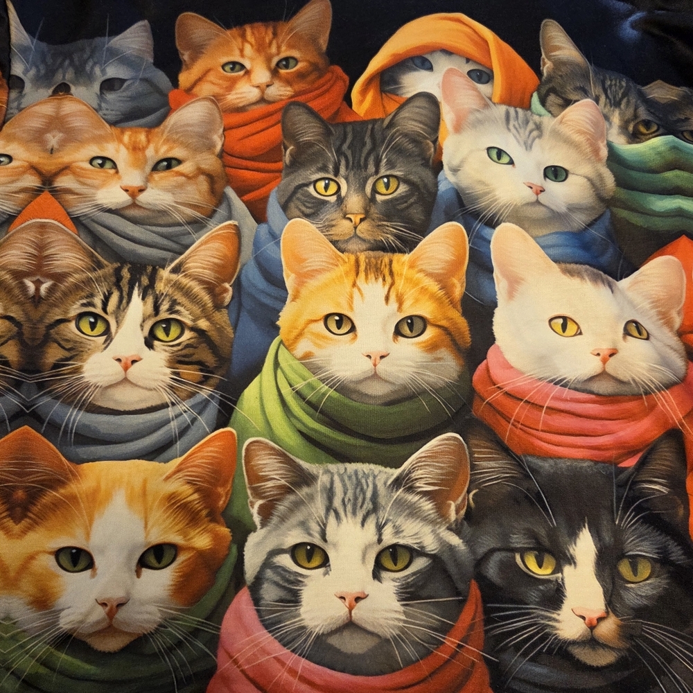 ⭐️ HOST PICK ⭐️ Cat Kitten Print Hoodie - Picture 3 of 6